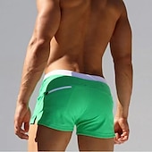 voordelige heren boxer zwembroek-Voor heren Boardshorts Zwemshorts Lange zwembroeken Trekkoord met Mesh-voering Zak met rits Effen Kleur Sneldrogend Comfortabel Feestdagen Zwembad Hawaii Casual / sportief Slank Zwart Wit Lage Taille