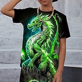 cheap Boy&#039;s 3D Animals-Boys 3D Graphic Animal Dragon T-shirt &amp; Shorts T-shirt Set Clothing Set Short Sleeve 3D prints Summer Spring Active Sports Fashion Kids 3-13 Years Outdoor Vacation Street Regular Fit