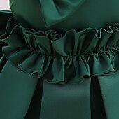 levne Párty šaty-Batole Dívčí Šaty na párty Pevná barva Bez rukávů Výkon Svatební Kravatový uzel Roztomilý Princeznovské Polyester Midi Šaty na párty Léto Jaro 3-7 let Světlá růžová Rubínově červená Trávová zelená