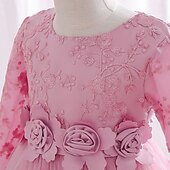 cheap Party Dresses-Kids Girls&#039; Dress Party Dress Flower Long Sleeve Special Occasion Birthday Mesh Embroidered Princess Sweet Polyester Midi Party Dress Summer Spring 4-12 Years Pink Wine Green