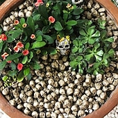 preiswerte Halloween Hängende &amp; Tischdekorationen-20 Stück Mini-Totenköpfe, Halloween, kleiner Skelettkopf, Blumentopf-Dekor, realistischer Totenkopf, Kunsthandwerk, Gartendekoration, Bonsai, Hofornamente