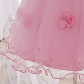cheap Party Dresses-Kids Girls&#039; Dress Party Dress Flower Long Sleeve Special Occasion Birthday Mesh Embroidered Princess Sweet Polyester Midi Party Dress Summer Spring 4-12 Years Pink Wine Green
