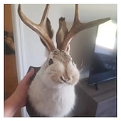 cheap Wall Sculptures-Jackalope Rabbit Wall Decor The Latest Legend of Antlers,Fake Rabbit Resin Art Wall Mount, Simulation Head Specimen Ornament