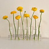 お買い得  花瓶＆バスケット-ヒンジ付き花瓶、折りたたみ式花瓶セット、ヒンジ付きデザインの折りたたみ式花瓶、形状変更可能な DIY クリスタルガラス試験管、6/8 試験管と S 字フック付き