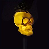 halpa Halloween rekvisiittivalo-1kpl Polun valot ja lyhdyt Aurikoladattava Vedenkestävä Lämmin valkoinen 1 LED-helmet