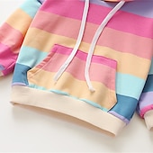 voordelige Hoodies &amp; Sweatshirts-Kinderen Voor meisjes Trui met capuchon Regenboog Streep Lange mouw Zak Lente Herfst leuke Style Streetwear Dagelijks Katoen Buiten Casual Normale pasvorm