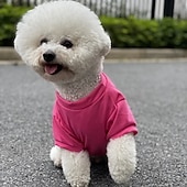 billiga Kylväst och skjorta-Hund Katt T-shirt Ledig / Sportig Euramerikansk Varm Andningsfunktion Tvättbar Bekväm Sport och friluftsliv Utomhus Utomhussport Helgen Hundkläder for Hes Dalmatiner Border Collie Japanske Spitzer