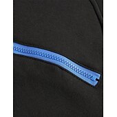 abordables sudaderas basicas hombre-Hombre Sudadera con cremallera Sudaderas con cremallera Negro Blanco Vino Color Camello Gris Oscuro Con Capucha Bloque de color Cerrar Bolsillo Deporte Diario Deportes Poliéster Ropa de calle Fresco