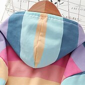 voordelige Hoodies &amp; Sweatshirts-Kinderen Voor meisjes Trui met capuchon Regenboog Streep Lange mouw Zak Lente Herfst leuke Style Streetwear Dagelijks Katoen Buiten Casual Normale pasvorm
