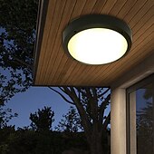 baratos Candeeiros de Teto-luminária de teto externa à prova d&#039;água e à prova de insetos varanda jardim gazebo porta de entrada corredor corredor beiral externo luminária de teto
