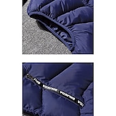 preiswerte Men&#039;s Vest-Herren Puffer Weste Weste Steppweste Strickjacke Outdoor Strasse Täglich Ausgehen Strassenmode Sport Herbst Winter Tasche Full Zip Polyester warm halten Atmungsaktiv Feste Farbe Reisverschluss