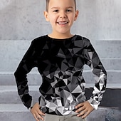 billiga Pojkens 3D Vision &amp; Geometri-Pojkar 3D Grafisk Geometrisk Färgblock T-shirt Långärmad 3D-tryck Sommar Vår Höst Sport Mode Streetwear Barn 3-12 år Utomhus Ledigt Dagligen Normal