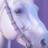 levne 3D zvířata dívky-Dívčí 3D Zvíře Kůň Mikina Dlouhý rukáv 3D tisk Podzim Zima Módní Šik ven Rozkošný Polyester Děti 3-12 let Venkovní Ležérní Denní Běžný