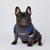 abordables Chandails-Chien Chat Pull Mode Drôle Hiver Respirant Doux Lavable Confortable Extérieur Décontracté Quotidien Vêtements pour Chiens for Bichon Frisé Spitz Nain Bébé Animal Papillon Petit