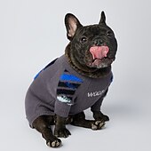 abordables Chandails-Chien Chat Pull Mode Drôle Hiver Respirant Doux Lavable Confortable Extérieur Décontracté Quotidien Vêtements pour Chiens for Bichon Frisé Spitz Nain Bébé Animal Papillon Petit