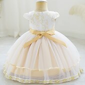 preiswerte Partykleider-Kleid für Kleinkinder, Mädchen, Blume, ärmellos, Performance, Party, Netz, niedlich, Polyester, knielang, Tüllkleid, Sommer, Frühling, 0–3 Jahre, Gold