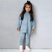Недорогие Комплекты-2 предмета Дети (1-4 лет) Девочки Сплошной цвет Crewneck Комплект с капюшоном и спортивными штанами Устанавливать Длинный рукав Спорт на открытом воздухе 3-7 лет Осень Цвет шампанского Розовый Синий