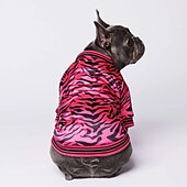billige Frakker-Hunder Katter Frakker Jakke Mote søt stil Vinter Varm Pustende Myk Vaskbar Bekvem utendørs Fritid / hverdag Hundeklær for Bichon Frisé Pommeran ungt kjæledyr Sommerfugl Small