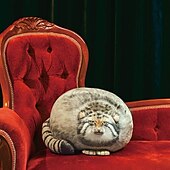 billige Nyheter innen innlegg-katt plysj kropp pute pallas katt plysj pute søt steppe katt kosedyr myke plysj kattunge plysj pute dukke store plysj leker gave til jenter gutter kjæreste