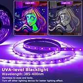זול תקע רצועת אורות-5 מטר 2x5M סרטי תאורת LED גמישים ערכות תאורה 300-600 נוריות 2,835 SMD 8 מ&quot;מ 1 תושבת הרכבה 1set לבן חם סגול רצועת אורות LED חג ליל כל הקדושים נדבק לבד 12 V