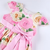 preiswerte Blumenmädchenkleider-Kinder Mädchen Kleid Partykleid Blumen Blume Kurzarm Leistung Hochzeit Besonderer Anlass Gerafft Elegant Urlaub Mode Polyester Midi Partykleid Schwingkleid Skaterkleid Sommer Frühling 3-10 Jahre Wei