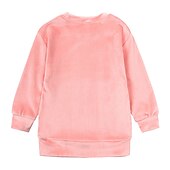 Недорогие Комплекты-2 предмета Дети (1-4 лет) Девочки Сплошной цвет Crewneck Комплект с капюшоном и спортивными штанами Устанавливать Длинный рукав Спорт на открытом воздухе 3-7 лет Осень Цвет шампанского Розовый Синий