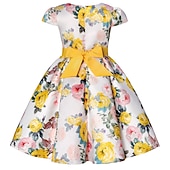 preiswerte Blumenmädchenkleider-Kinder Mädchen Kleid Partykleid Blumen Blume Kurzarm Leistung Hochzeit Besonderer Anlass Gerafft Elegant Urlaub Mode Polyester Midi Partykleid Schwingkleid Skaterkleid Sommer Frühling 3-10 Jahre Wei