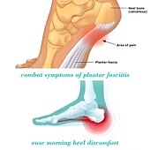 economico calzini da uomo-Calze a compressione Calze sportive 1 paio Per uomo Per donna Calzini a tubo Calzini / Calze Traspirante Comodo Antiscivolo Allenamento in palestra Pallacanestro Corsa Allenamento attivo Jogging Gli