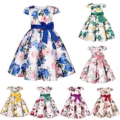 preiswerte Blumenmädchenkleider-Kinder Mädchen Kleid Partykleid Blumen Blume Kurzarm Leistung Hochzeit Besonderer Anlass Gerafft Elegant Urlaub Mode Polyester Midi Partykleid Schwingkleid Skaterkleid Sommer Frühling 3-10 Jahre Wei