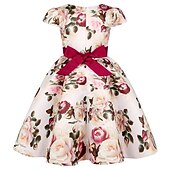 preiswerte Blumenmädchenkleider-Kinder Mädchen Kleid Partykleid Blumen Blume Kurzarm Leistung Hochzeit Besonderer Anlass Gerafft Elegant Urlaub Mode Polyester Midi Partykleid Schwingkleid Skaterkleid Sommer Frühling 3-10 Jahre Wei