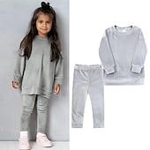 Недорогие Комплекты-2 предмета Дети (1-4 лет) Девочки Сплошной цвет Crewneck Комплект с капюшоном и спортивными штанами Устанавливать Длинный рукав Спорт на открытом воздухе 3-7 лет Осень Цвет шампанского Розовый Синий