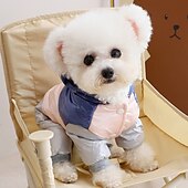 billige Frakker-Hunder Katter Frakker Jakke Mote Fritid Vinter Vanntett Pustende Myk Vaskbar Bekvem Fritid / hverdag Hundeklær for Bichon Frisé Pommeran ungt kjæledyr Sommerfugl Small