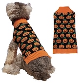 ieftine Pulovere-Câini Pisici Pulovere Jumper Misto Petrecere Iarnă Respirabil Απαλό Lavabil Comfortabil Halloween În aer liber Halloween Casul / Zilnic Îmbrăcăminte pentru câini for Bichon Frise Pomeran un Animalut