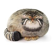 billige Nyheter innen innlegg-katt plysj kropp pute pallas katt plysj pute søt steppe katt kosedyr myke plysj kattunge plysj pute dukke store plysj leker gave til jenter gutter kjæreste