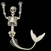 お買い得  ハロウィンの吊るし飾りとテーブルトップ装飾-ハロウィン人魚の骸骨家の装飾 80 センチメートル