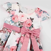 preiswerte Blumenmädchenkleider-Kinder Mädchen Kleid Partykleid Blumen Blume Kurzarm Leistung Hochzeit Besonderer Anlass Gerafft Elegant Urlaub Mode Polyester Midi Partykleid Schwingkleid Skaterkleid Sommer Frühling 3-10 Jahre Wei