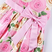 preiswerte Blumenmädchenkleider-Kinder Mädchen Kleid Partykleid Blumen Blume Kurzarm Leistung Hochzeit Besonderer Anlass Gerafft Elegant Urlaub Mode Polyester Midi Partykleid Schwingkleid Skaterkleid Sommer Frühling 3-10 Jahre Wei