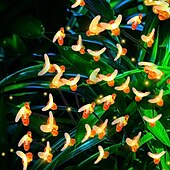 economico Luci paesaggistiche-2 luci solari da giardino a forma di lucciola, 8/10 LED, luci da giardino esterne impermeabili con 2 modalità di illuminazione, luci oscillanti IP65 per decorazioni natalizie, da giardino, da patio e da passerella
