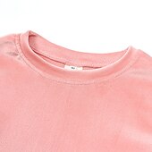 Недорогие Комплекты-2 предмета Дети (1-4 лет) Девочки Сплошной цвет Crewneck Комплект с капюшоном и спортивными штанами Устанавливать Длинный рукав Спорт на открытом воздухе 3-7 лет Осень Цвет шампанского Розовый Синий