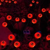 economico Illuminazione vialetto-luce solare da giardino luci lucciola impermeabili luci ondeggianti starburst esterne 2 modalità 6/8/10 teste per la decorazione del percorso del patio del cortile
