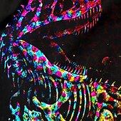 billiga Pojkens 3D-djur-Pojkar 3D Djur Dinosaurie Tröja Pullover Långärmad 3D-tryck Höst Vinter Mode Streetwear Häftig Barn 3-12 år 4-12 år Utomhus Ledigt Dagligen Normal