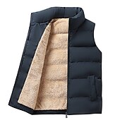 abordables Gilets-Homme Gilet polaire Gilet Usage quotidien Vacances Sortie Mode basique Printemps &amp; Automne Bouton Polyester Confortable Plein Boutonnage Simple Col Mao Col V Standard Noir Rouge bleu marine Gilet