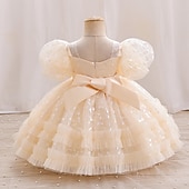 levne Párty šaty-Batole Dívčí Šaty na párty Pevná barva Krátký rukáv Výkon Svatební Nahoře nabírané Aktivní Princeznovské Polyester Délka ke kolenům Šaty na párty Léto Jaro 3-7 let Šampaňská