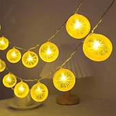 abordables Guirlandes lumineuses à piles-Guirlande lumineuse élégante de 3 mètres avec 20 tranches de citron pour réception de mariage, décoration de jardin, cour de mariage, intérieur et extérieur