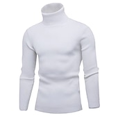 preiswerte Herrenpullover-Herren Rollkragenpulli Pullover Kurzer Pullover Gerippt Stricken Normale Oberteile gestrickt Glatt Rollkragen Moderne zeitgenössische Arbeit Freizeitskleidung Bekleidung Winter Wein Schwarz S M L