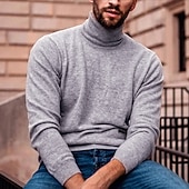 billige genser for menn-Herre Turtleneck genser Pullover genser Herre Turtle Neck Jumper Riflet Strikke Normal Strikket عادي Rullekrage Moderne Moderne Slim passform Arbeid Dagligdagstøy Klær Høst vinter Vin Svart S M L