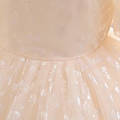 levne Párty šaty-Batole Dívčí Šaty na párty Pevná barva Krátký rukáv Výkon Svatební Nahoře nabírané Aktivní Princeznovské Polyester Délka ke kolenům Šaty na párty Léto Jaro 3-7 let Šampaňská