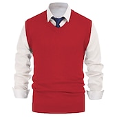 abordables suéter de los hombres-Hombre Chaleco suéter Sueter de lana Pull-over Tejer Escote en V Profunda De Punto Color sólido Escote en Pico Básico Elegante Ropa Invierno Otoño Negro Vino M L XL