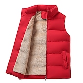 abordables Gilets-Homme Gilet polaire Gilet Usage quotidien Vacances Sortie Mode basique Printemps &amp; Automne Bouton Polyester Confortable Plein Boutonnage Simple Col Mao Col V Standard Noir Rouge bleu marine Gilet