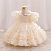 levne Párty šaty-Batole Dívčí Šaty na párty Pevná barva Krátký rukáv Výkon Svatební Nahoře nabírané Aktivní Princeznovské Polyester Délka ke kolenům Šaty na párty Léto Jaro 3-7 let Šampaňská